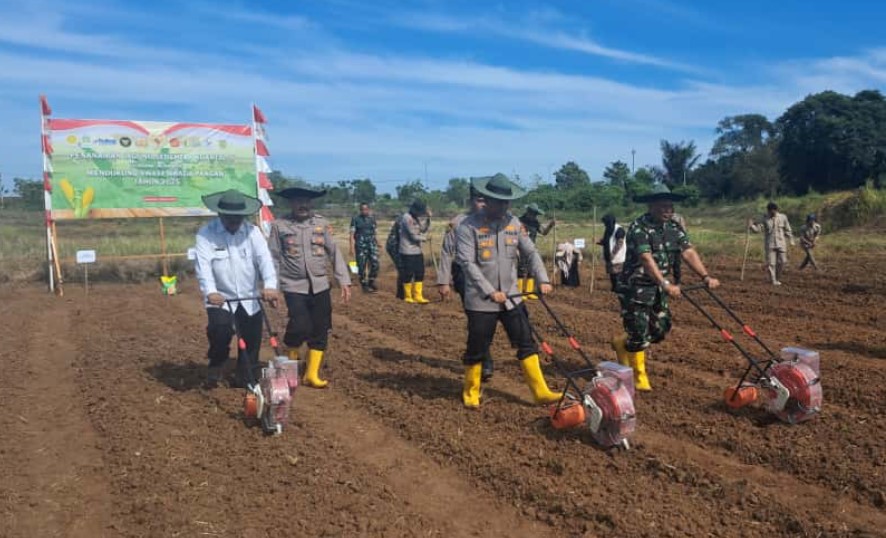 Polresta Banda Aceh Tanam Jagung di Lahan, 0,55 Hektar Guna Mendukung Swasembada Pangan