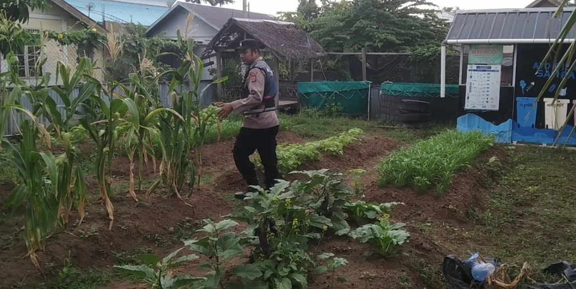 Dukung Ketahanan Pangan Nasional, Personel Kutaraja Sambangi Lahan Produktif Milik Warga